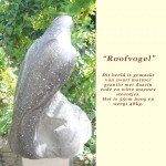 Roofvogel